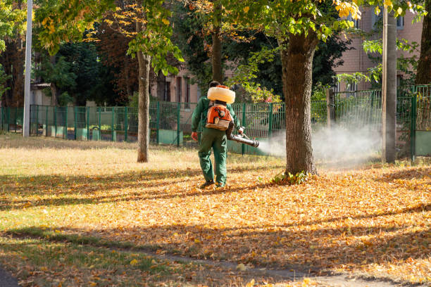 Best Bird Control  in Butler, WI