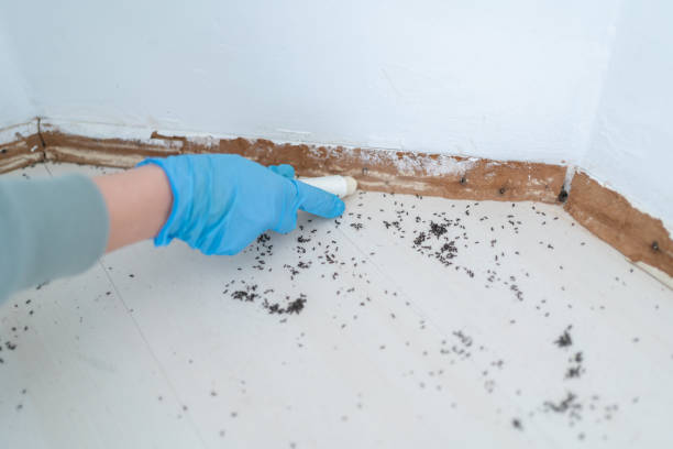 Best Commercial Pest Control Services  in Butler, WI